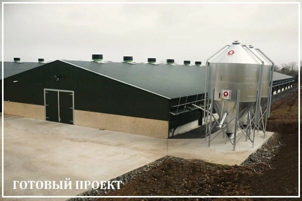 Этапы возведения птицефабрики от завода ВелесТент-ксв